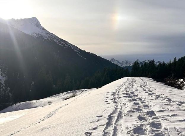 Snowshoe taster tour
